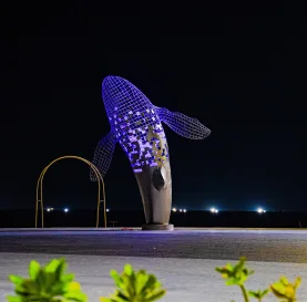 453211561_122183466740072629_3442497135456508794_n